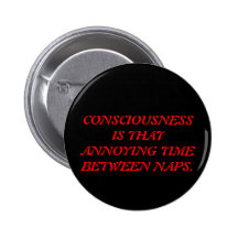 CONSCIOUSNESS PINS