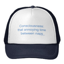 Consciousness: that annoying time between naps