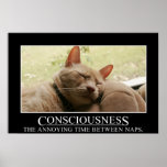 Consciousness: the annoying time between naps (S) posters