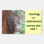Conservation: Great Apes and Rain Forest Stickers