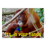 Conservation - in Your Hands cards