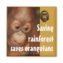 Conservation