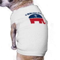 Conservative Republican