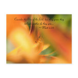 Consider the lilies of the field, how they grow; t postcards