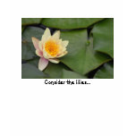 Consider the lilies t-shirts