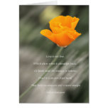 Constant Love - Orange Poppy in the Wind cards