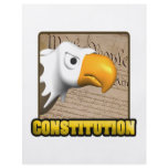 Constitution flyers
