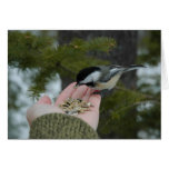 Contact cards