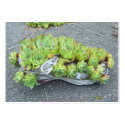 Container Gardening ~ ATC business cards