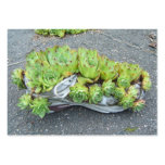 Container Gardening ~ ATC business cards