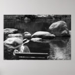 Contemplation, Big Springs Gardens posters