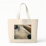Contemplation Canvas Bags