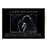 Contemplation cards