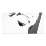 Contemplation photo cards