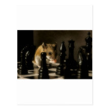 Contemplation Post Card