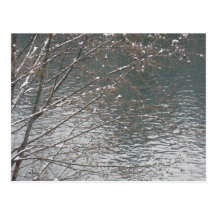 contemplation postcard