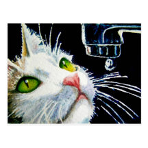 Contemplation Postcard