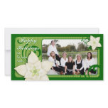 Contemporary Holiday Poinsettia photo cards