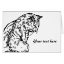 Contented Cat drawing cards