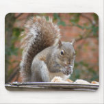 Contented Squirrel Mousepad