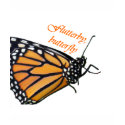 Contrast Flutterby t-shirts