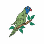 Conure embroidered shirts