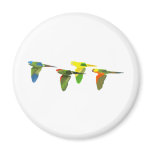 Conures! Refrigerator Magnet