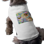 Conversation About A Great Transformation pet clothing