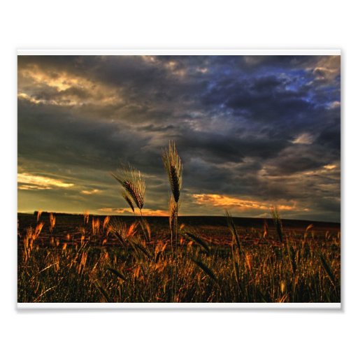 Conversation with the wind art photo