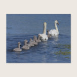 Convoy of Swans postcards