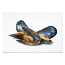 cooked mussels over white photo