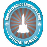 Cool Aerospace Engineers Club photo sculptures