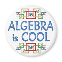 Cool Algebra Refrigerator Magnets
