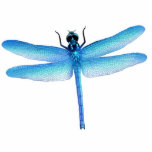 Cool Blue Dragonfly Ornament photo sculptures