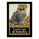 Cool Cats of America cards
