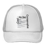 Cool Conservative Mesh Hats