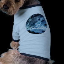 cool.. pet clothing