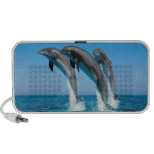 Cool Dolphins iPod Speaker