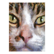 Cool For Cats Personalised Announcement