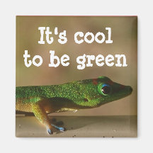 Cool Green Gecko Fridge Magnets