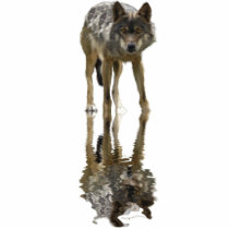 Cool Grey Wolf Wildlife Gift Item