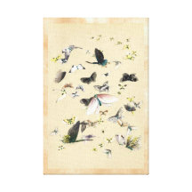 Cool japanese vintage ukiyo-e butterfly scroll gallery wrapped canvas