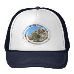 Cool Joshua Tree Hat!