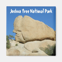 Cool Joshua Tree Park Magnet!