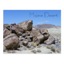 Cool Mojave Desert Postcard!