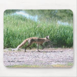 cool mouse pad456
