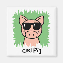 Cool Pig Magnets