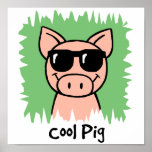 Cool Pig posters