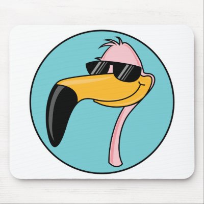 Flamingo Sunglasses