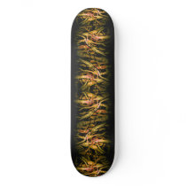 Cool  Skateboard